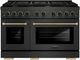 ZLINE Designer Paramount 48" Black Satin Stainless Steel Pro Style Dual Fuel Range with 8 Burner Gas Cooktop-0