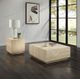 ACME Furniture Deon Beige End Table-2