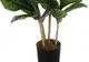 Monarch Specialties Inc. Black 41" Artificial Potted Fiddle Tree-1