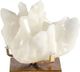 Renwil® Broomfield White Crystal Statue-0
