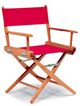 Telescope Casual World Famous Director Chair Dining Height Arm Chair-0