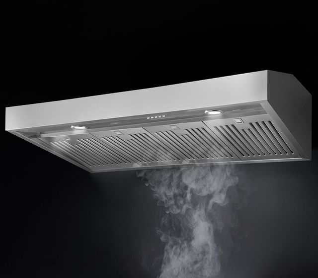 Forza™ 48" Stainless Steel Professional Wall Mounted Range Hood-2