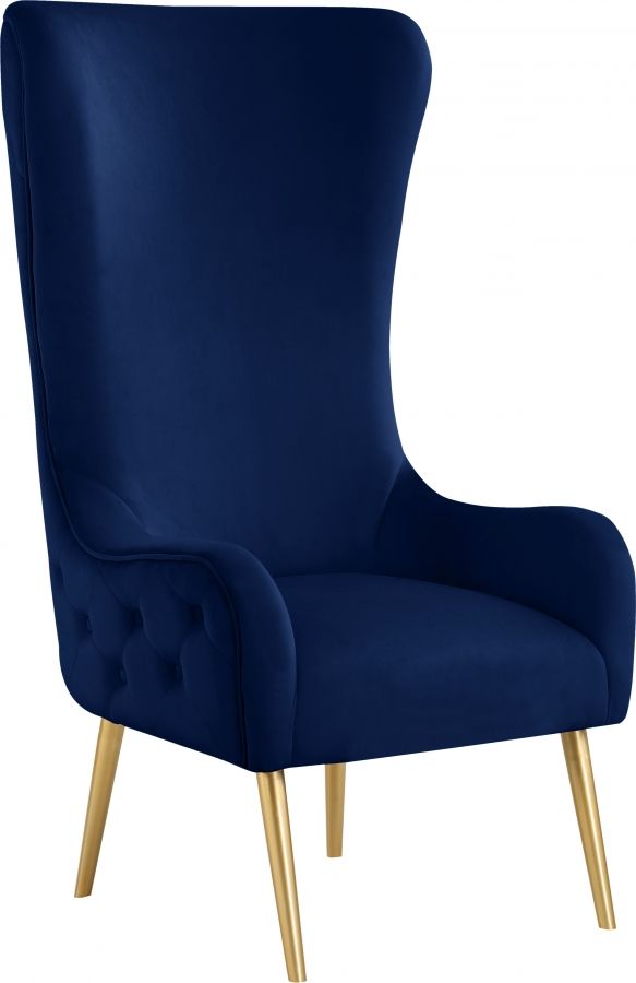 Meridian Furniture Alexander Navy Velvet Accent Chair-0