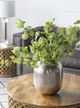 A & B Home Light Green 40" Fruit Spray-3