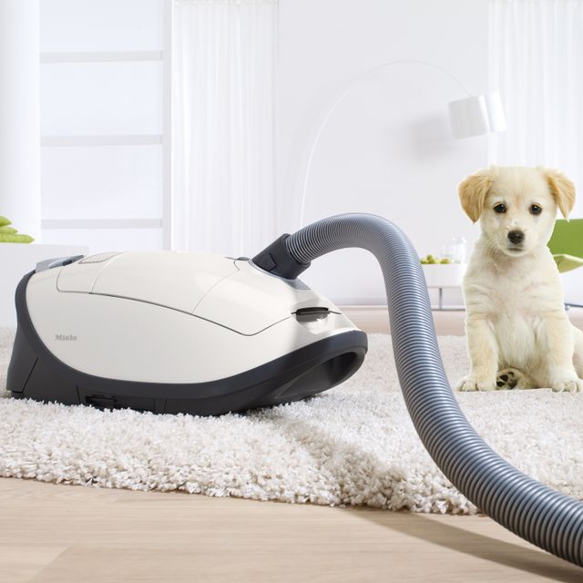 Miele Vacuum Complete C3 Cat & Dog Lotus White Canister Vacuum-3