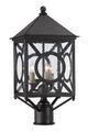 Currey & Company Ripley Midnight Small Post Light-0
