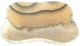 A & B Home Eduardo Beige Hand-Carved Zebra Onyx Bowl-0