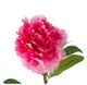 A & B Home Fuchsia Fabric Peony Stem-1
