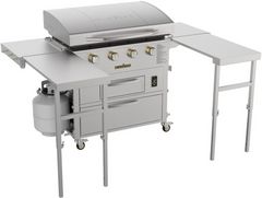 Blackstone® 4-Burner Stainless Steel Freestanding Liquid Propane Gas Grill