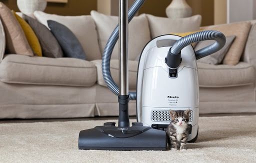 Miele Complete C3 Cat & Dog Lotus White Canister Vacuum - Complete C3-Cat & Dog-1