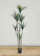 Le Present Dracaena Green Faux Botanical-4