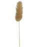 A & B Home Natural Dried Bunny Tail Bundle-1
