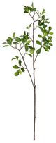 A & B Home Green Leaf Branch-0