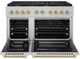 ZLINE Autograph Edition Paramount 48" Satin Stainless Steel Pro Style Dual Fuel Range with Polished Gold Accents-1