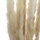 A & B Home Cream Dried Natural Pampas Grass Bundle-2