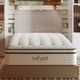 Harvest® Green Mattress Wrapped Coil Plush Pillow Top Twin XL Mattress-4