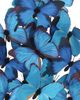Currey & Company Rue de Bac Blue Medium Butterflies-3