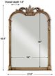 Uttermost® Jacqueline Champagne Silver Leaf Mirror-2