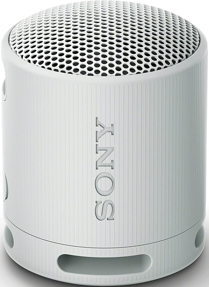 Sony® Light Gray Wireless Portable Speaker | Primetime Audio Video