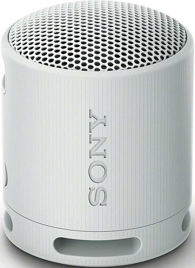 Sony® Light Gray Wireless Portable Speaker-1