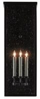 Currey & Company Tanzy Midnight Large Outdoor Wall Sconce-1