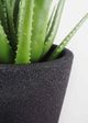 Le Present Sandstone Moderna Black 36" Planter-2