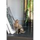 A & B Home Copper Panther-5