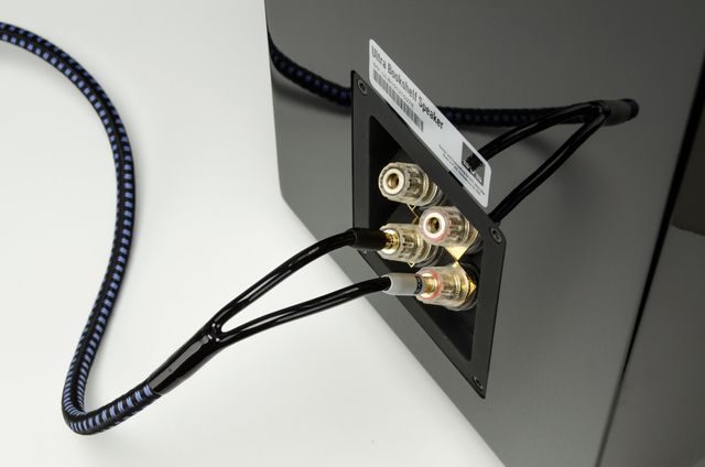 SVS SoundPath Ultra 4 Foot Speaker Cable-4
