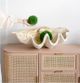 A & B Home White Natural Large Clam Shell Accent-5