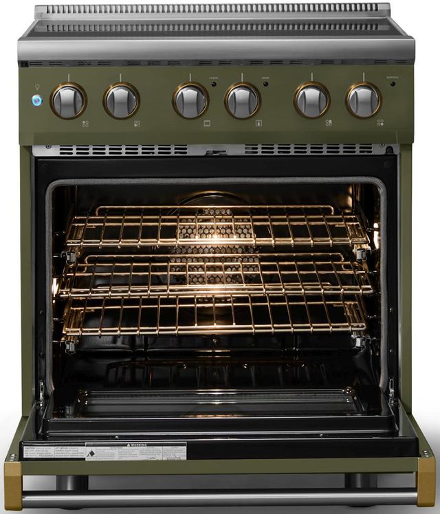 Viking® 5 Series 30" Martini Pro Style Electric Range with Brushed Brass Trim-1