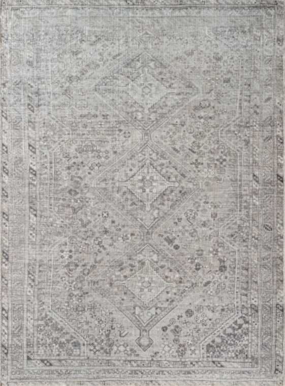 Surya Embrace Gray 4'x6' Area Rug-0