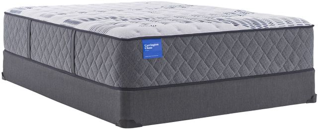 Sealy® Carrington Chase Stoneleigh 14.5" Wrapped Coil Plush Tight Top Queen Mattress-4
