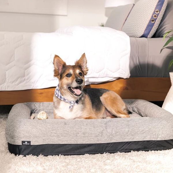 BEDGEAR® Performance® Black/Gray X-Large Dog Bed-1