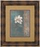 Classy Living Vivian Flasch Floral Trans I Wall Art-0
