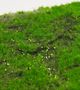 Le Present Green 10" Artificial Moss Tile-1