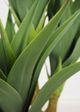 Le Present Agave Green Faux Botanical-2