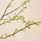 Magnolia Home by Joanna Gaines Green Leafy Bud Branch-1