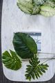 A & B Home Green Monstera Leaf-2