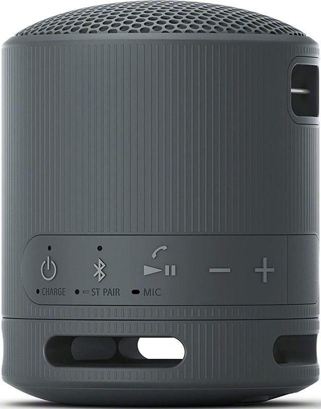Sony® Black Wireless Portable Speaker-3