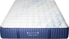 Dreamstar Bedding Luxury Collection Chiro 13" Hybrid Firm Tight Top Queen Mattress in a Box