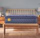 Sealy® Golden Elegance Remmington 15" Innerspring Soft Euro Pillow Top Queen Mattress-2