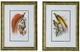 A & B Home 2-Piece Brown/Red/White Birds Wall Art Set-1
