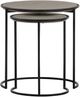 Armen Living Rina 2-Piece Gray Nesting End Table Set-1