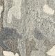 Oriental Weavers™ Anastasia 5'x8' Style 6 Area Rug-4