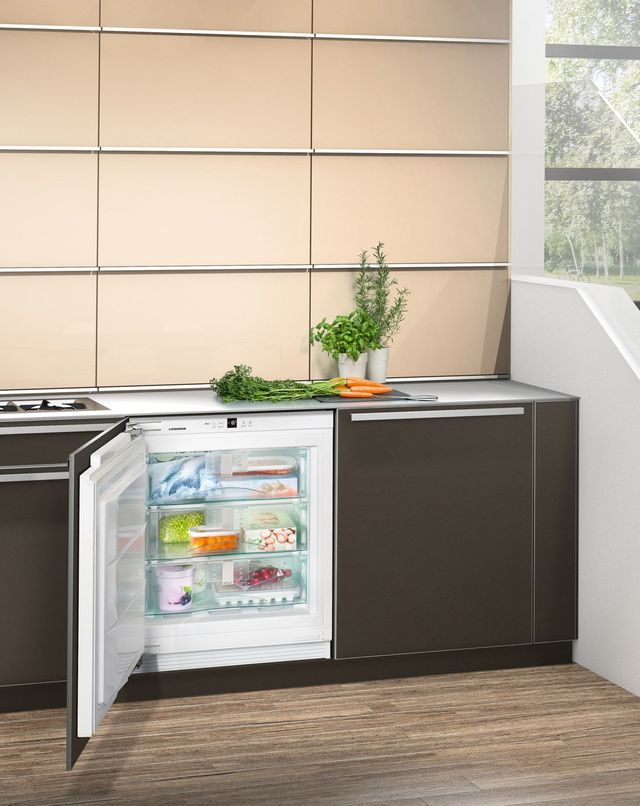 Liebherr 2.8 Cu. Ft. Panel Ready Under The Counter Freezer-3