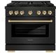 ZLINE Paramount Series Autograph Edition 36" Black Stainless Steel Pro Style Dual Fuel Range with Polished Gold Accents -0