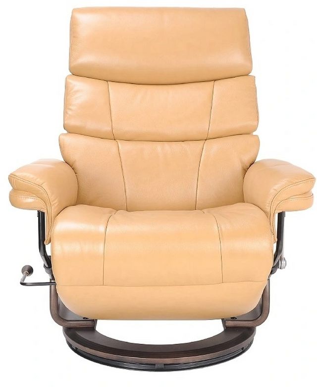BenchMaster Flip-Up Footrest Cheer Saddle Recliner-1