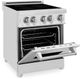 ZLINE 24" Stainless Steel Pro Style Induction Range-3