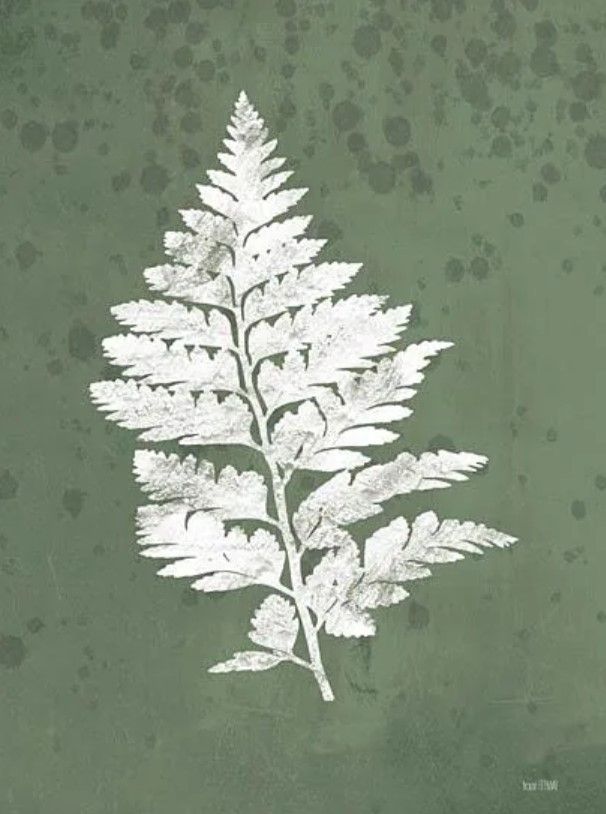 Classy Art Fern Botanical II by House Fenway Wall Art-0