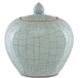 Currey & Company Maiping Celadon Crackle Ginger Jar-0